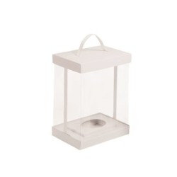 Caja vitrina rectangular