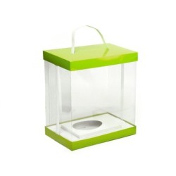 Caja vitrina verde