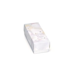 PianoSoft Artic