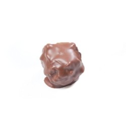 Rocher XL L