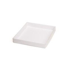 BT16 Blanco