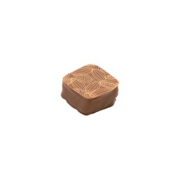 Bombón melanesia L