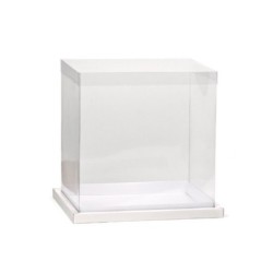 Caja Panorámica