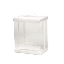 Caja Vitrina Rectangular