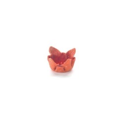 Tulipa remolacha