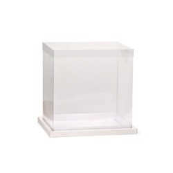 Caja Panorámica