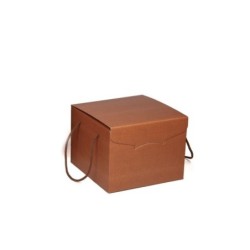 Skin desert lote con cordones