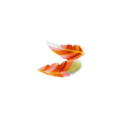 Plumas colores