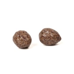 Nuez de praliné/ cj 1,4 kg