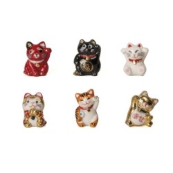 Sorpresa gatos fortuna