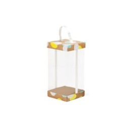 Caja Vitrina Neon