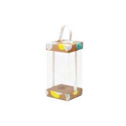 Caja Vitrina Neon