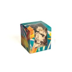 Smart cube Tropical