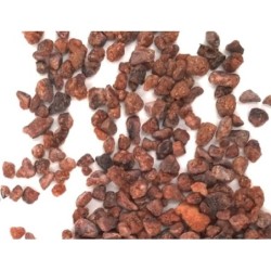 Grue de cacao Bio