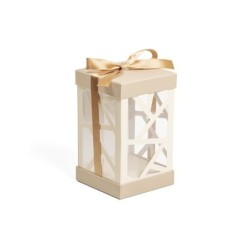 Caja Vitrina Elysée
