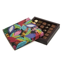 Trendy Cacao 16 bomones