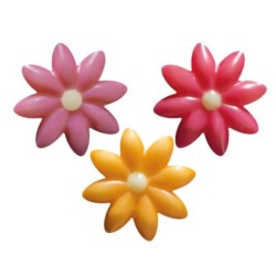 Tuti flower