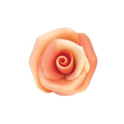 Rosas pastel 40mm