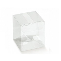 Caja Transparente Scatto PET