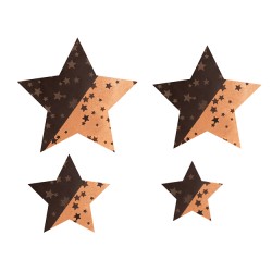 Lluvia de estrellas