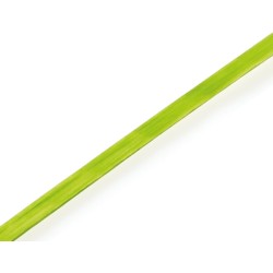 Raffia verde manzana