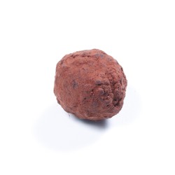 Trufa Cacaotée
